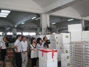 我愛香港協會到蔬菜統營處拍攝